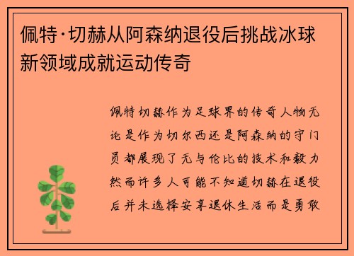 佩特·切赫从阿森纳退役后挑战冰球新领域成就运动传奇 佩特·切赫从阿森纳退役后挑战冰球新领域成就运动传奇